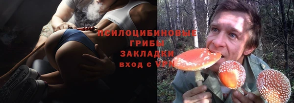 соль ск Аркадак