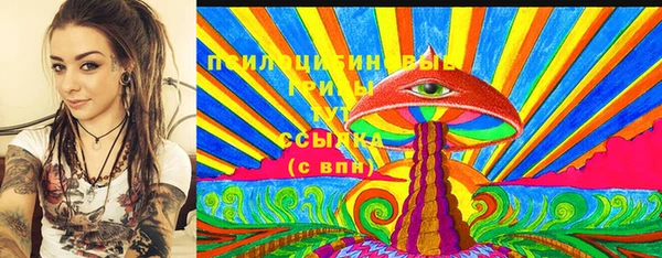 дживик Баксан